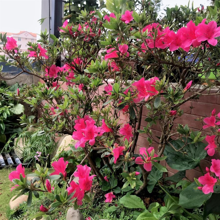 Đường Xưa Home Đà Lạt Esterno foto