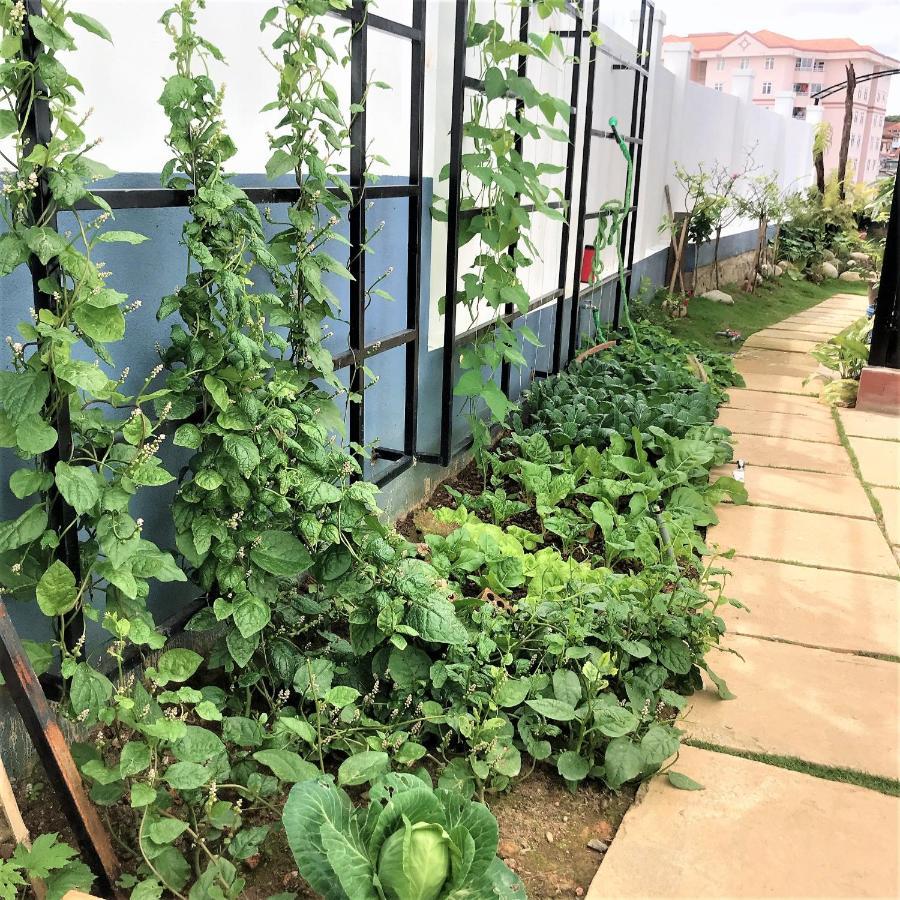 Đường Xưa Home Đà Lạt Esterno foto