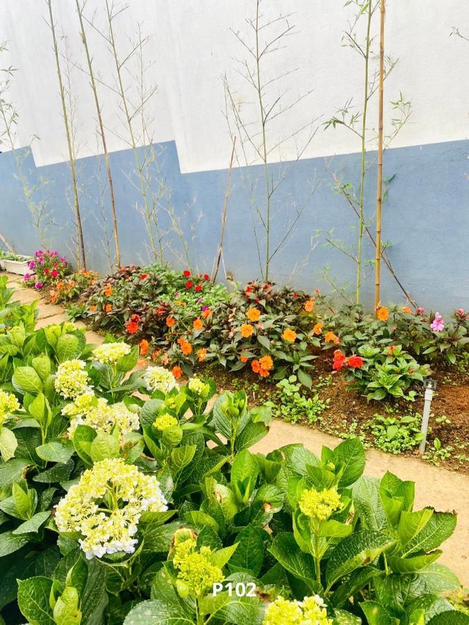 Đường Xưa Home Đà Lạt Esterno foto